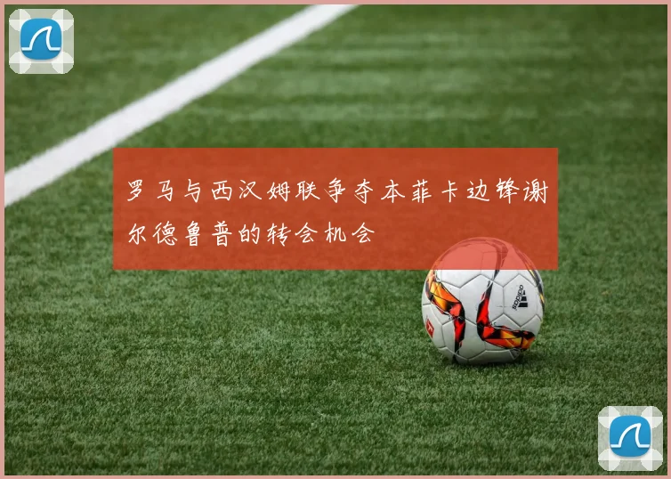罗马与西汉姆联争夺本菲卡边锋谢尔德鲁普的转会机会