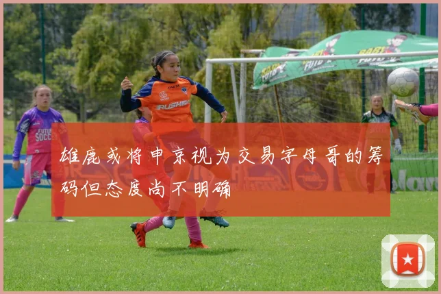 雄鹿或将申京视为交易字母哥的筹码但态度尚不明确